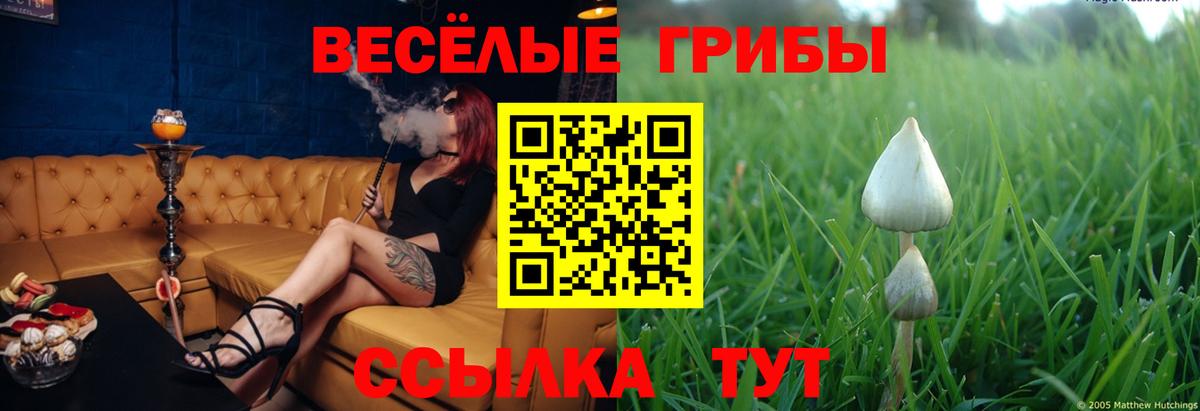 Псилоцибиновые грибы ЛСД  Вход с VPN  Галлюциногенные грибы прущие грибы  сколько стоит  Гусиноозёрск 